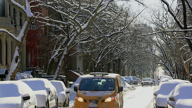 TU的相机捕捉到了昨晚早上被雪包裹的汽车。可以看到一排白雪皑皑的树木和住宅公寓。视频素材