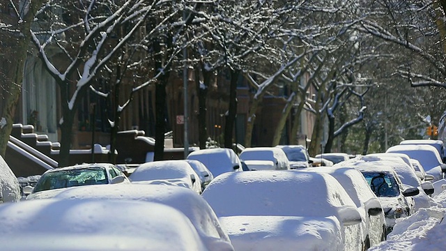 TU的相机捕捉到了昨晚早上被雪包裹的汽车。可以看到一排白雪皑皑的树木和住宅公寓。视频素材