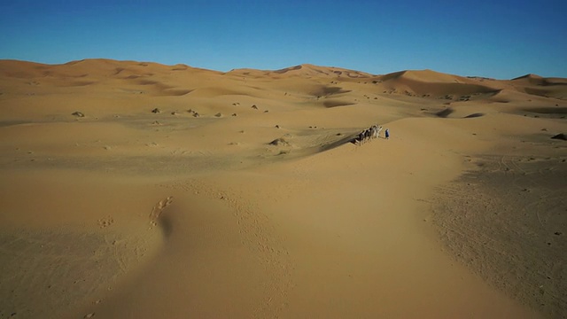 图阿雷格人在摩洛哥沙漠里骑骆驼视频素材