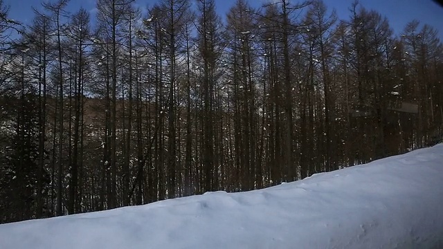 开车过去被白雪覆盖的视频素材