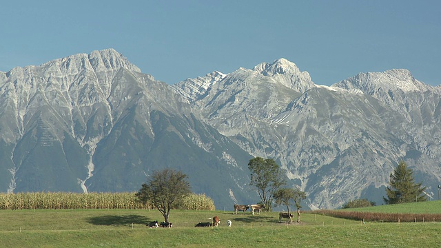 草原和群山视频素材