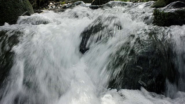 岩石上的热带河水视频素材