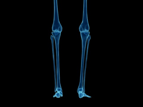 人体骨骼的x光研究视频下载