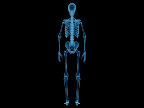 人体骨骼的x光研究视频下载