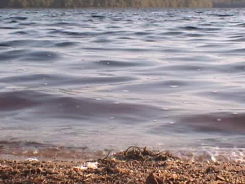 伴随着海浪视频素材