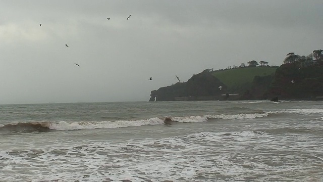 沿海视频素材