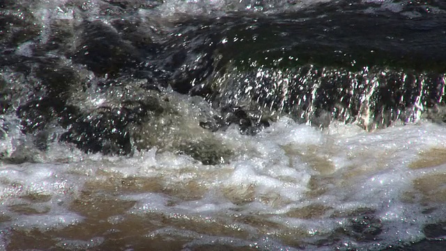 流水高清视频下载