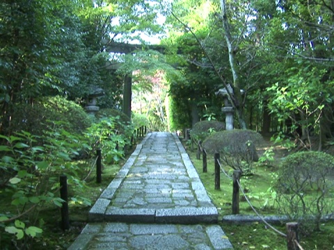 京都NTSC禅宗花园，有鸟门视频素材