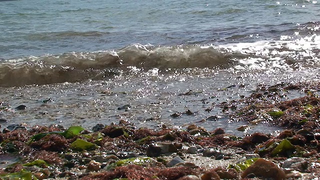 海岸视频素材