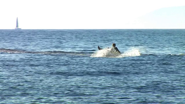 HD:橡皮艇冲浪视频素材