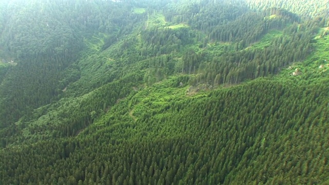 高清:青山视频素材