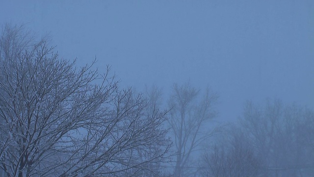 暴雪(高清)视频素材