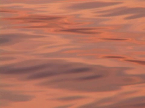 丰富多彩的海水视频下载