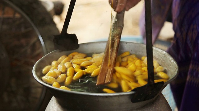 丝茧过程视频素材