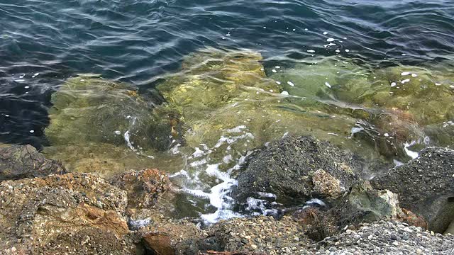 海岸线视频素材