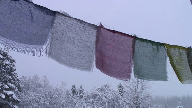 冬天的经幡视频下载