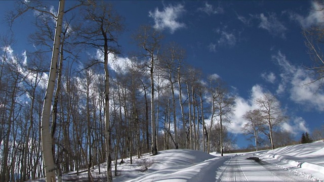 森林里的雪路视频素材