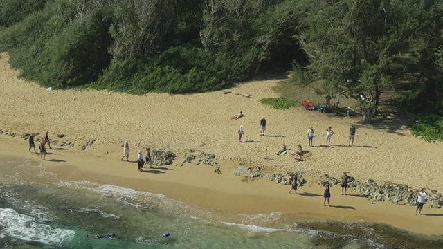 夏威夷海滩无人机无人机航拍视频素材