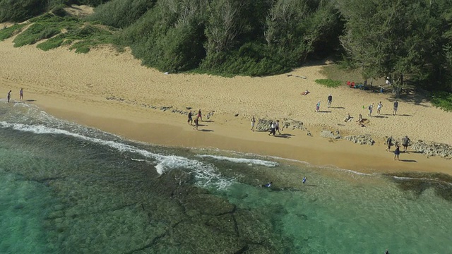 夏威夷海滩无人机无人机航拍视频素材