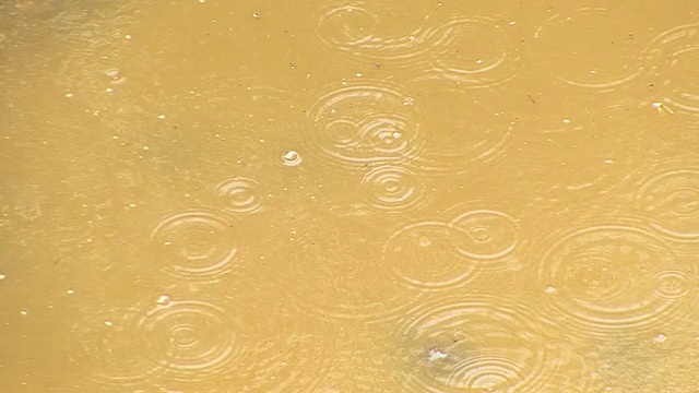 雨下降视频下载