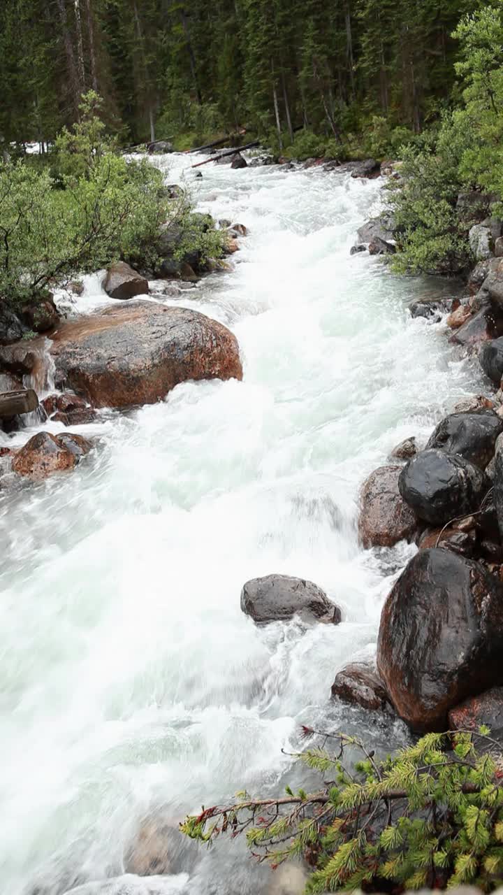 流水视频下载