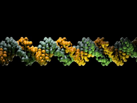 DNA分子模型- NTSC视频下载