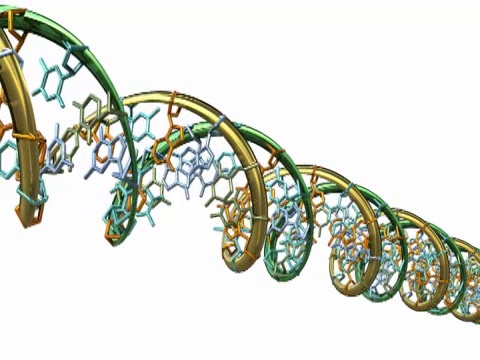 DNA分子模型- NTSC视频下载