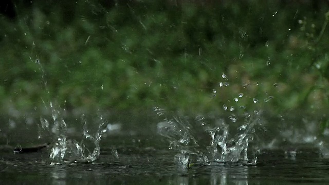 雨滴在慢动作，近距离，高清循环视频下载