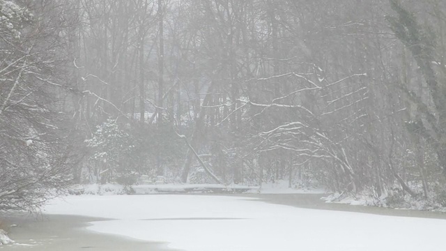 湖面和树木上的暴风雪(视频)视频素材