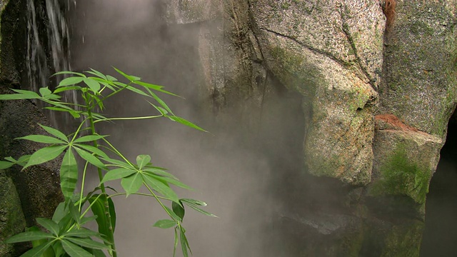 在热水!视频素材