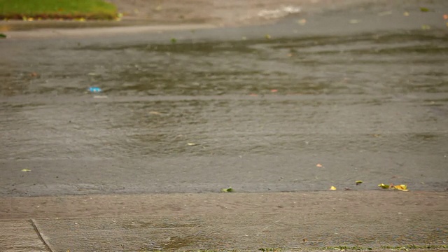 大雨视频下载