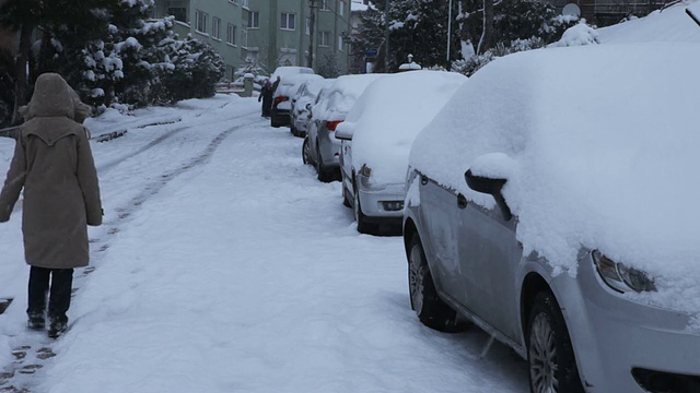 雪走视频下载