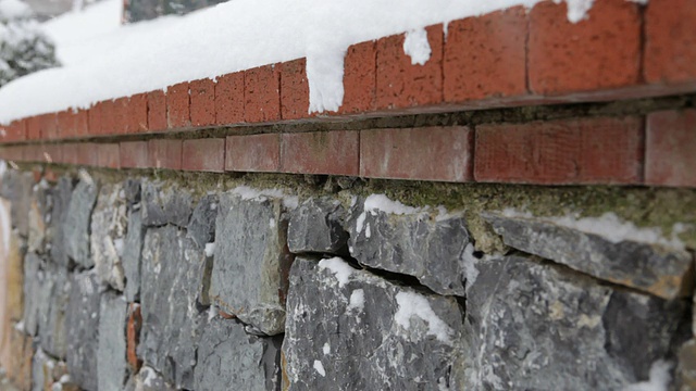 雪和墙视频下载