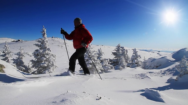 越野滑雪在冬季景观视频素材