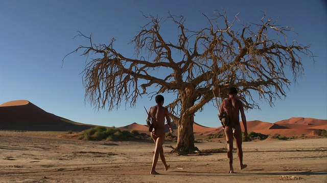 两个bushmen_Sossus_Baum_San视频素材