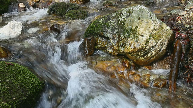 小溪水视频素材