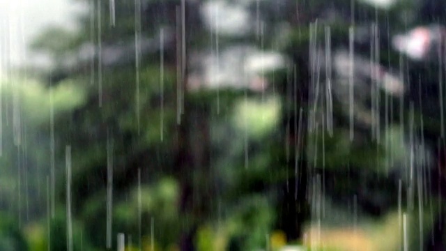 多雨的夏天视频素材