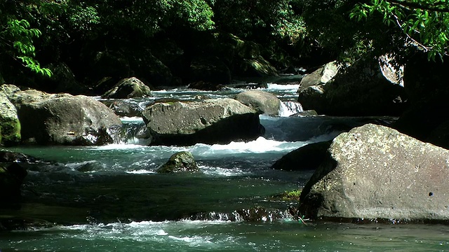 高清:山涧(视频)视频素材