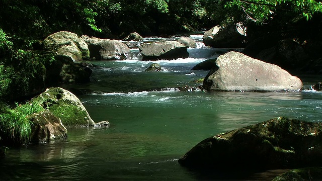 高清:山涧(视频)视频素材