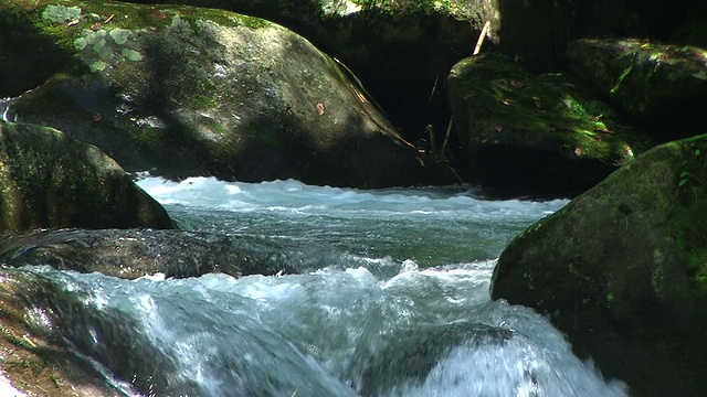 高清:山涧(视频)视频素材