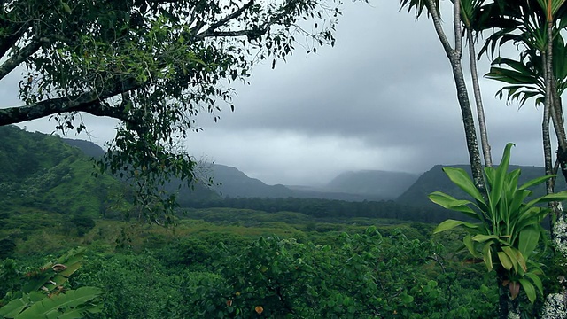 哈雷阿卡拉火山口视频素材