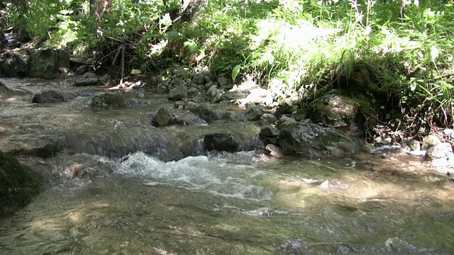 高清:河视频素材