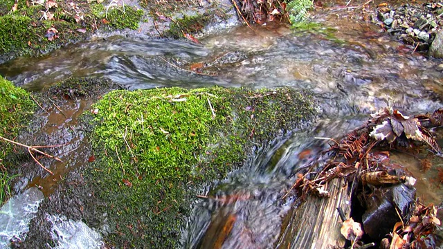 高清:河视频素材