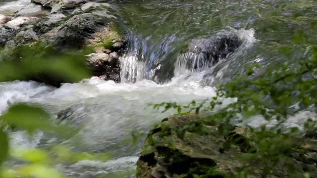 自然界中的水流视频下载