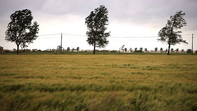 风场视频素材