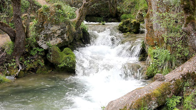 小河流(高清)视频素材