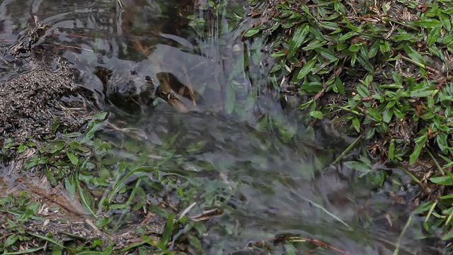 水流视频素材