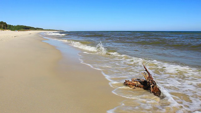 海景视频下载