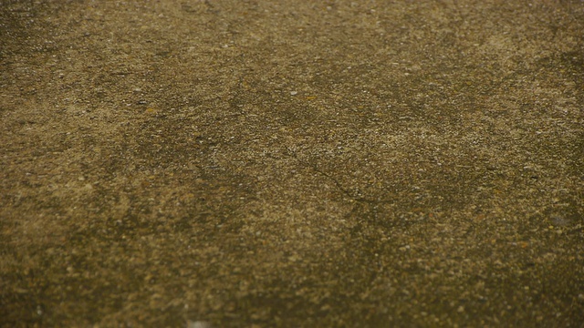 下着毛毛细雨视频素材