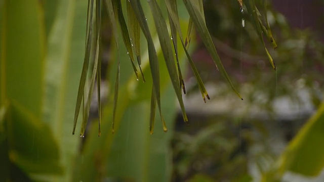 淋浴视频素材